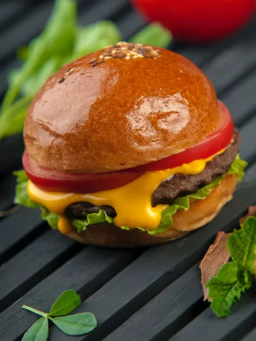 WHAT TO COOK WHILE CAMPING